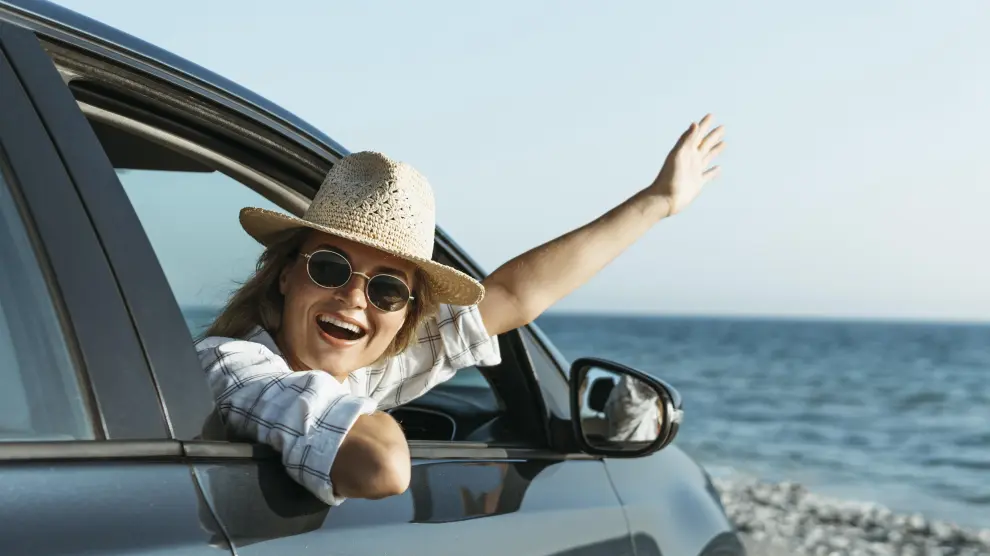 Consejos para viajar con mascotas en coche por Ibiza